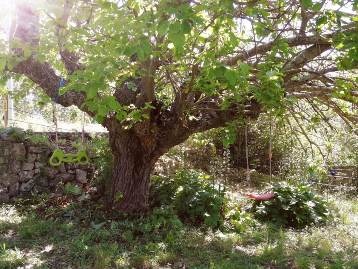Bastide Provençale Les Mûriers d'Engaspaty Seillans Extérieur photo
